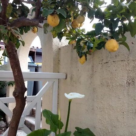 L'orangeraie Bed & Breakfast